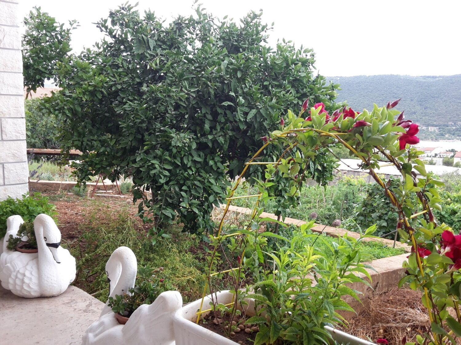 Grebaštica Apartments Josi - Parking And Barbecue מראה חיצוני תמונה
